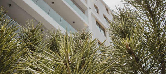 Квартира с 2 спальнями в Лимассол, Кипр № 19290 6