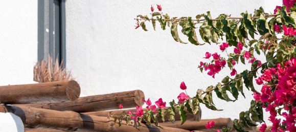 3 bedrooms House in Mallorca, Spain No. 143752 5