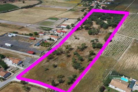 Grundstück in Palmela, Portugal, Nr. 252740