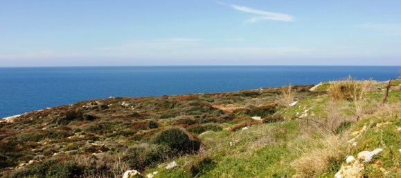 فندق في Rethymno, Greece 39030متر مربع رقم 7352 4