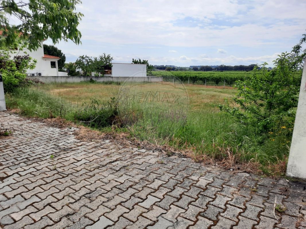 576m² Land in Lardosa, Portugal No. 72916