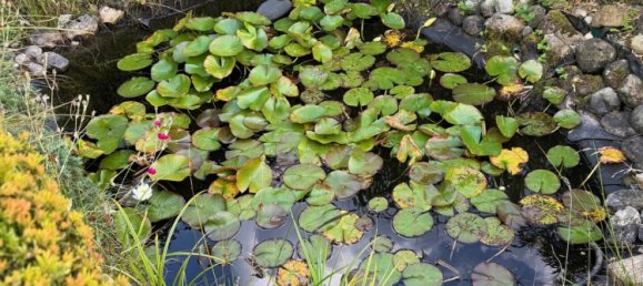 4 bedrooms House in Wandsbek, Germany No. 363009 10