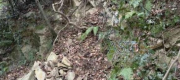 7-Zimmer Wohnung in Serravalle Pistoiese, Italy, Nr. 40741 46