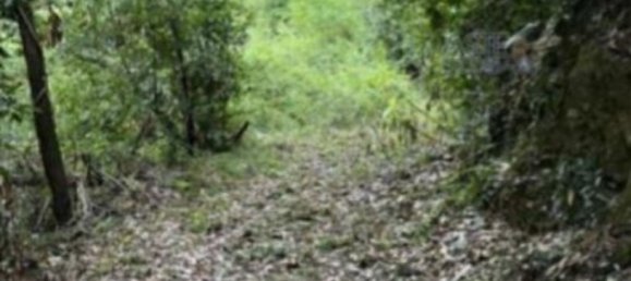 7-Zimmer Wohnung in Serravalle Pistoiese, Italy, Nr. 40741 21