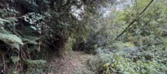 7-Zimmer Wohnung in Serravalle Pistoiese, Italy, Nr. 40741 51