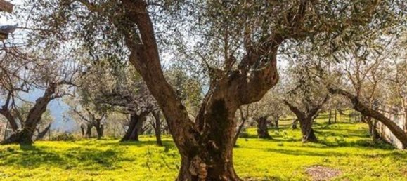 6 Schlafzimmer Villa in Prata Sannita, Italy, Nr. 325681 21