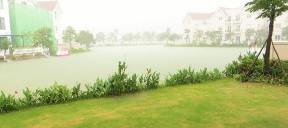 3 bedrooms Villa in Long Bien, Vietnam No. 3656 22