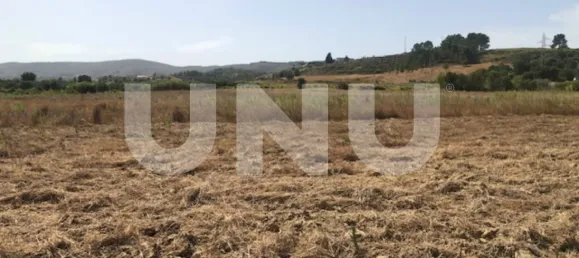  Land in Telhado, Portugal No. 76987 4