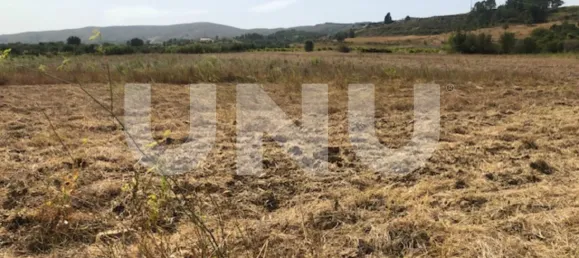 Land in Telhado, Portugal No. 76987 3