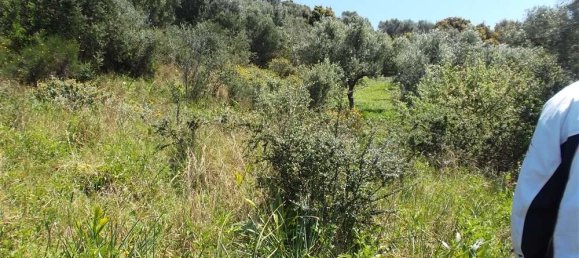  Hotel in Zakynthos, Greece No. 485 4