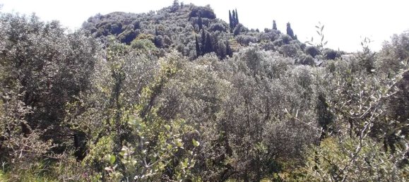 Grundstück in Zakynthos, Greece, Nr. 485 3