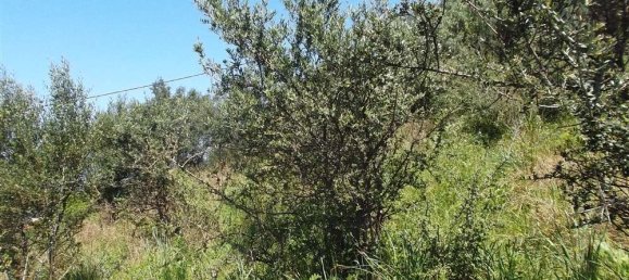  Hotel in Zakynthos, Greece No. 485 7