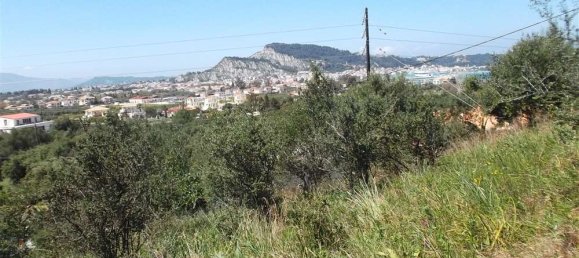 Grundstück in Zakynthos, Greece, Nr. 485 2