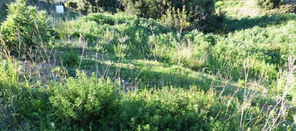  قطعة أرض في Benalmadena, Spain رقم 146564 9