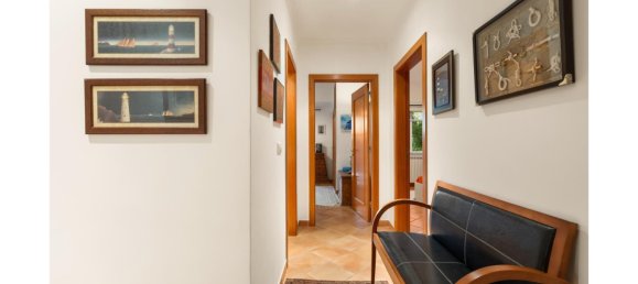 3 bedrooms Villa in Grandola, Portugal No. 119292 17