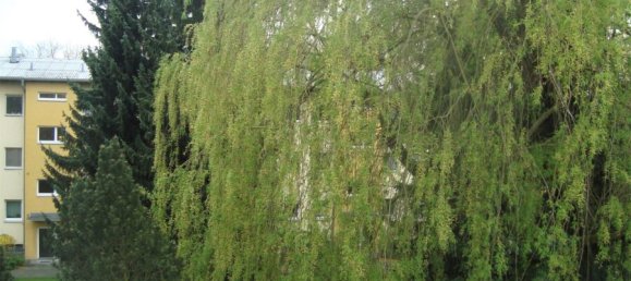 Apartamento T1 em Lichtenrade, Germany N.º 12867 7