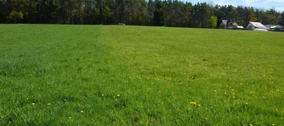 Земельный участок в Кумберг, Австрия № 128117 3