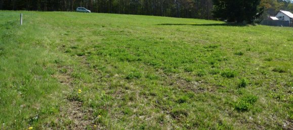 Земельный участок в Кумберг, Австрия № 128117 4