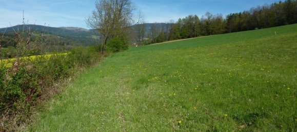 Земельный участок в Кумберг, Австрия № 128117 2