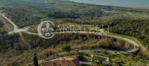 12 rooms Villa in Passignano sul Trasimeno, Italy No. 70740 45