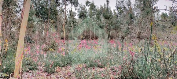 Terreno en Barcelos, Portugal 21290 m² No. 51799 15