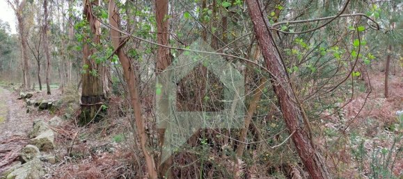 Terreno en Barcelos, Portugal 21290 m² No. 51799 12