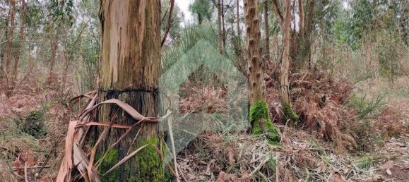 Terreno en Barcelos, Portugal 21290 m² No. 51799 4