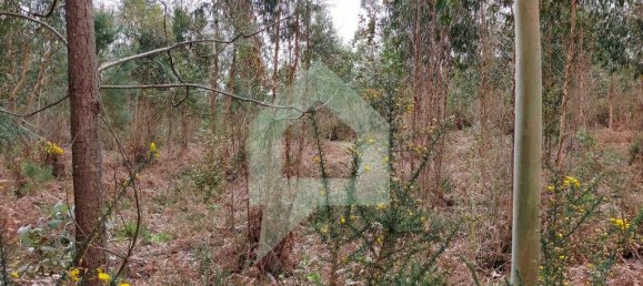 Terreno en Barcelos, Portugal 21290 m² No. 51799 10