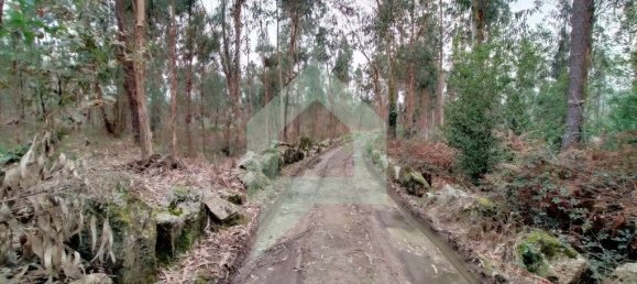 Terreno en Barcelos, Portugal 21290 m² No. 51799 6