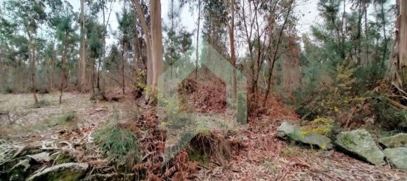 Terreno en Barcelos, Portugal 21290 m² No. 51799 9