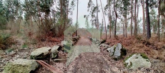 Terreno en Barcelos, Portugal 21290 m² No. 51799 7