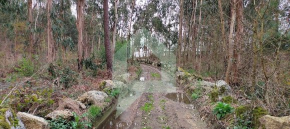 Terreno en Barcelos, Portugal 21290 m² No. 51799 14