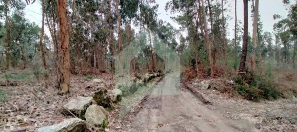 Terreno en Barcelos, Portugal 21290 m² No. 51799 13