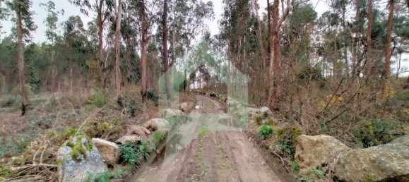 Terreno en Barcelos, Portugal 21290 m² No. 51799 8