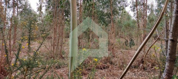 Terreno en Barcelos, Portugal 21290 m² No. 51799 11