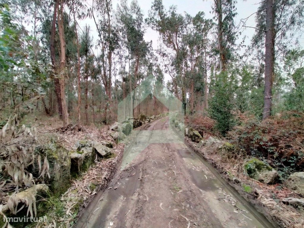 Terreno en Barcelos, Portugal 21290 m² No. 51799