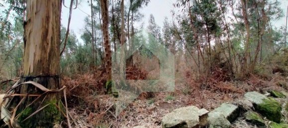 Terreno en Barcelos, Portugal 21290 m² No. 51799 2