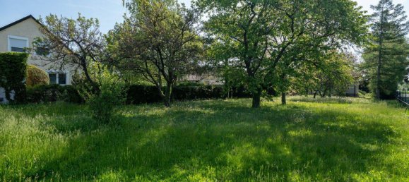 Terrain à Pottendorf, Austria No. 164415 11