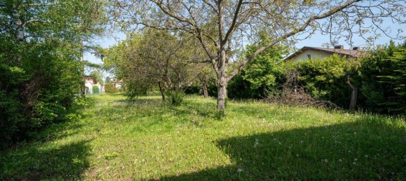 Terrain à Pottendorf, Austria No. 164415 9