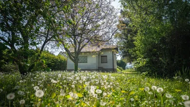 Terrain à Pottendorf, Austria No. 164415