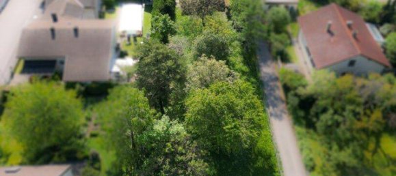 Terrain à Pottendorf, Austria No. 164415 4