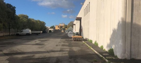 2350m² Warehouse in Albano Laziale, Italy No. 177076 4