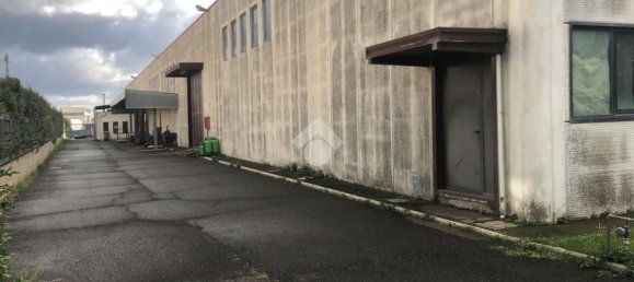 2350m² Warehouse in Albano Laziale, Italy No. 177076 7