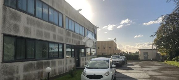 2350m² Warehouse in Albano Laziale, Italy No. 177076 11