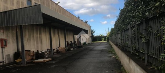 2350m² Warehouse in Albano Laziale, Italy No. 177076 3