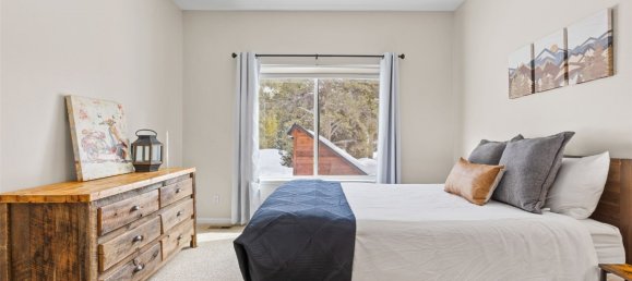 3 Schlafzimmer Gewerbliche Immobilie in Breckenridge, USA, Nr. 560320 4