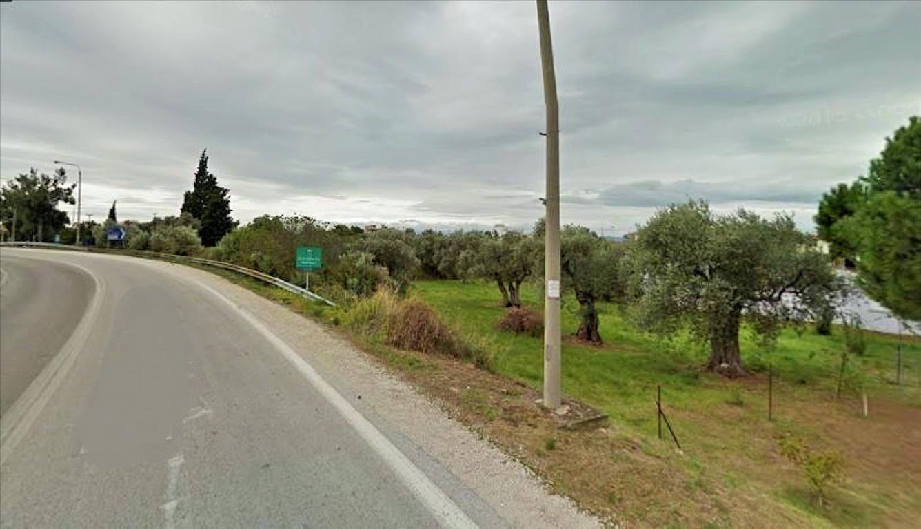 2570m² Hotel in Thasos, Greece No. 56738