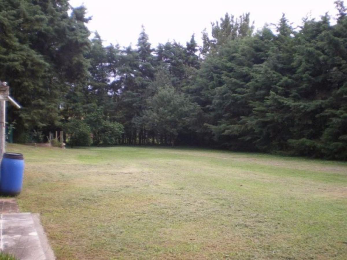 Grundstück in Pilar, Argentina, Nr. 41290