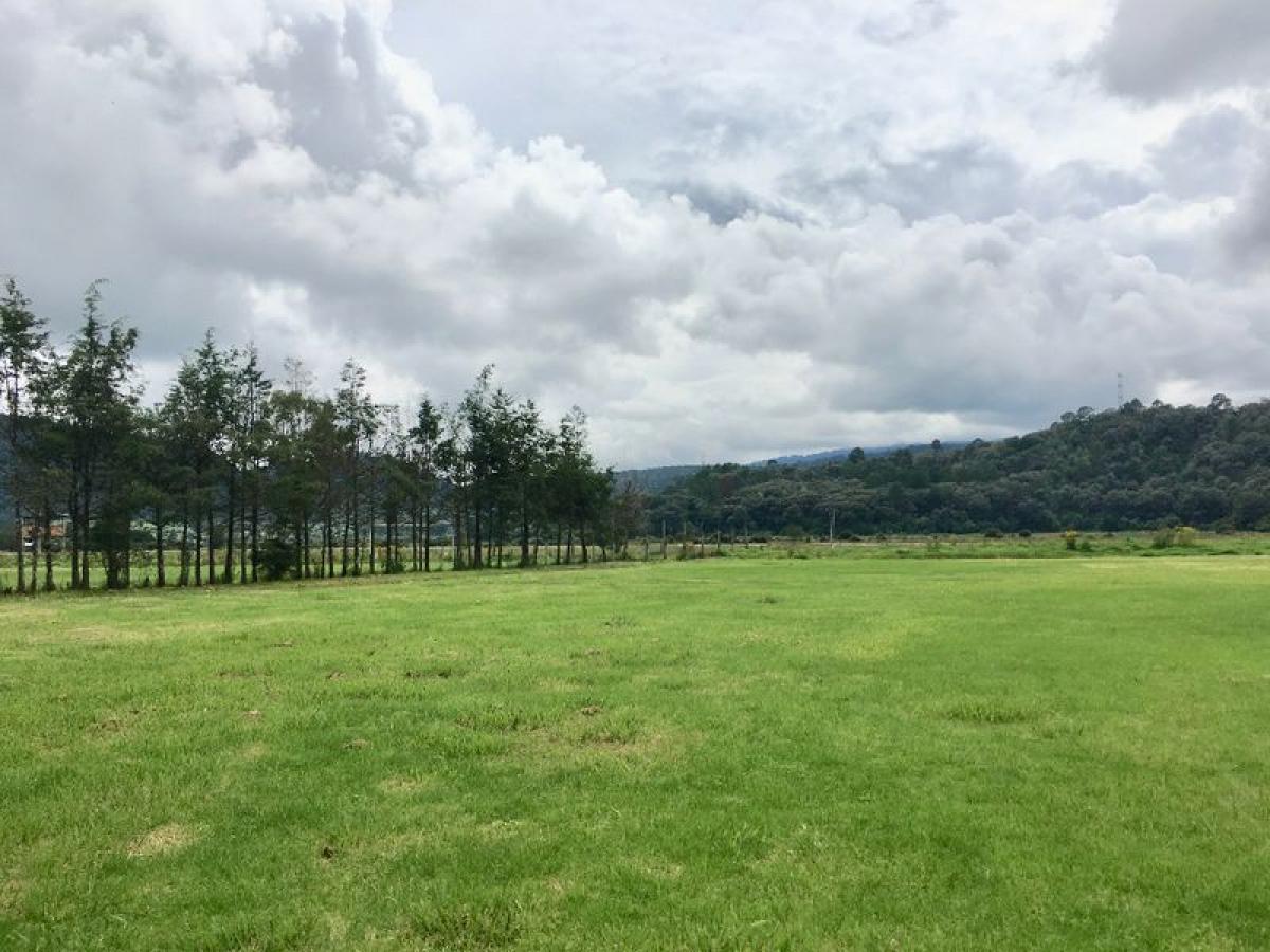 Земельный участок в Эройка Матаморос, Мексика № 204708