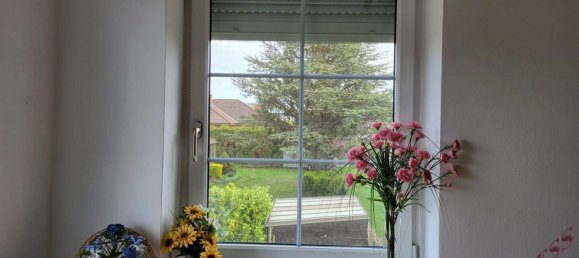 11-Zimmer Haus in Groß-Enzersdorf, Austria, Nr. 217884 39